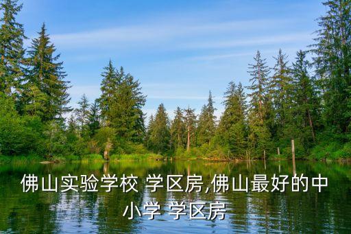 佛山实验学校 学区房,佛山最好的中小学 学区房