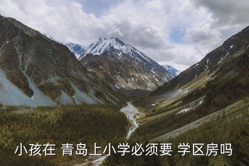 小孩在 青岛上小学必须要 学区房吗