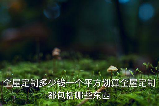 全屋定制多少钱一个平方划算全屋定制都包括哪些东西