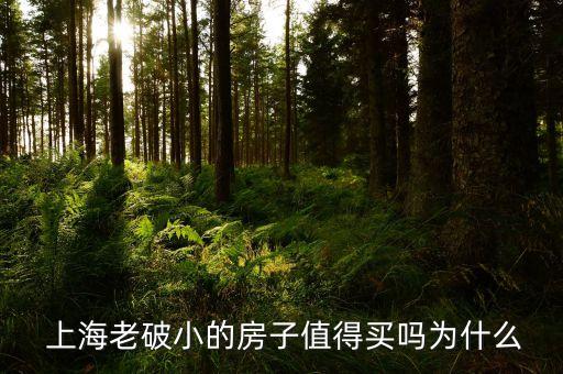  上海老破小的房子值得买吗为什么