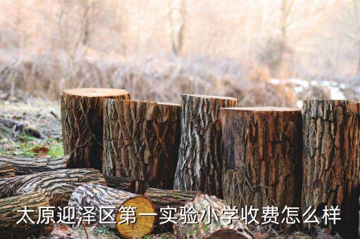 太原迎泽区第一实验小学收费怎么样