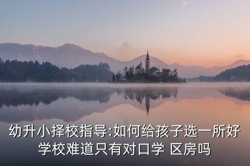 幼升小择校指导:如何给孩子选一所好学校难道只有对口学 区房吗