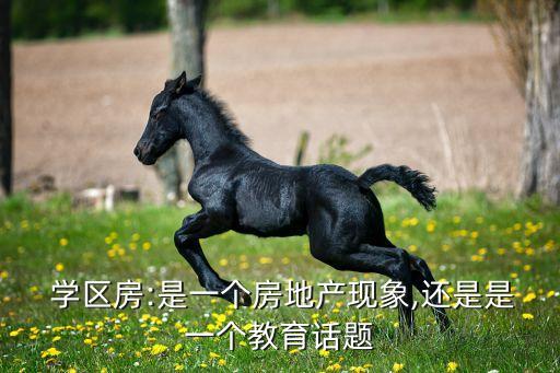  学区房:是一个房地产现象,还是是一个教育话题