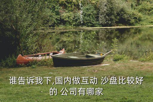 谁告诉我下,国内做互动 沙盘比较好的 公司有哪家