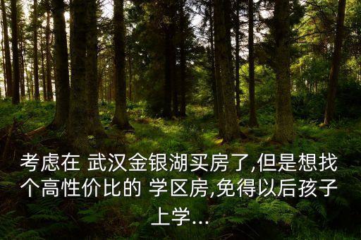 考虑在 武汉金银湖买房了,但是想找个高性价比的 学区房,免得以后孩子上学...