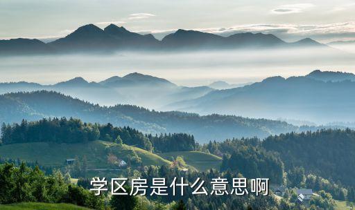  学区房是什么意思啊