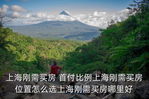 上海刚需买房 首付比例上海刚需买房位置怎么选上海刚需买房哪里好