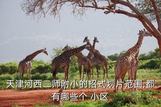 天津河西二师附小的招式划片范围,都有哪些个 小区