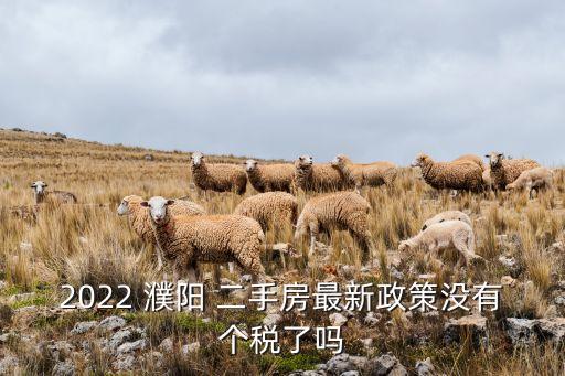 濮阳便宜二手房,濮阳个人急售二手房出售