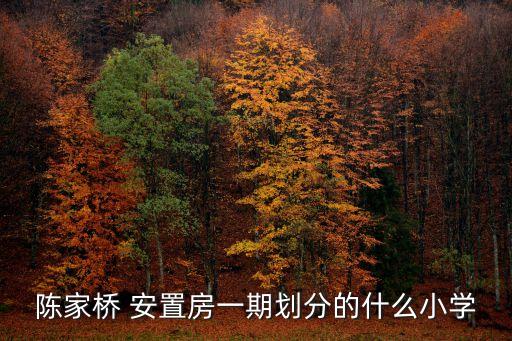 陈家桥 安置房一期划分的什么小学