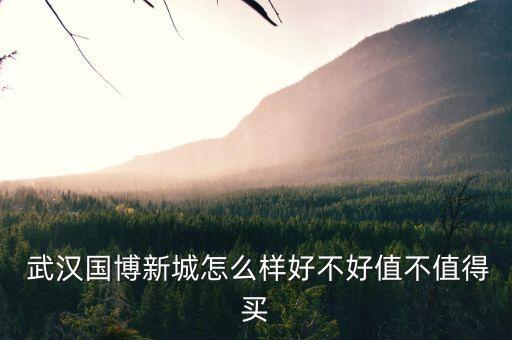 武汉四新哪个楼盘好,武汉最新房价一览表
