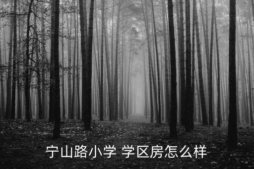 宁山路小学 学区房怎么样