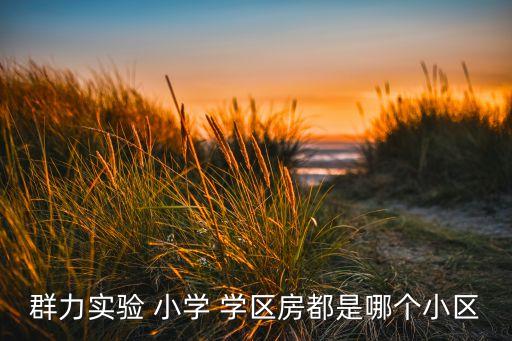 群力实验 小学 学区房都是哪个小区