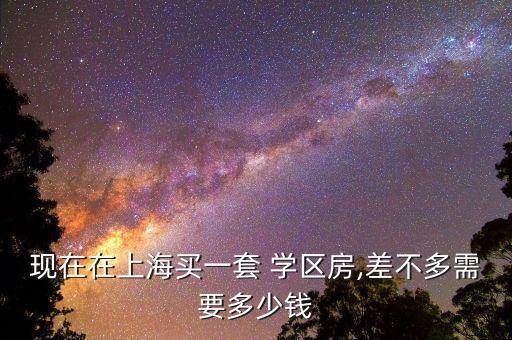 现在在上海买一套 学区房,差不多需要多少钱