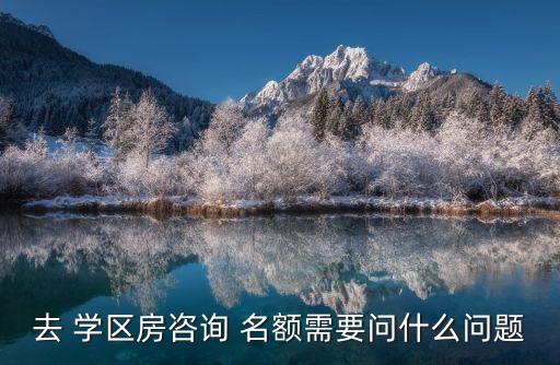 去 学区房咨询 名额需要问什么问题
