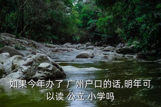 2019广州入读公立小学条件