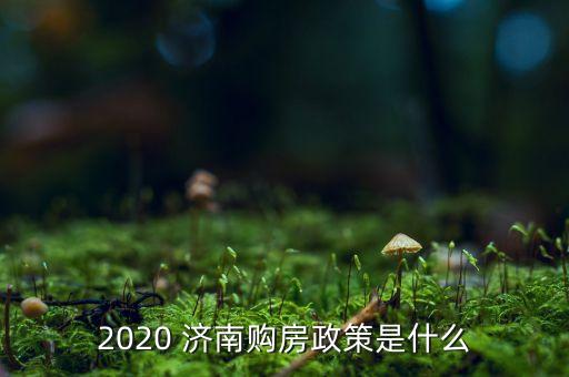 2020 济南购房政策是什么