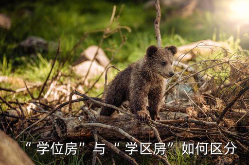 学区房怎么计算学位,如何查询学区房学位是否被占用