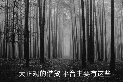 十大正规的借贷 平台主要有这些