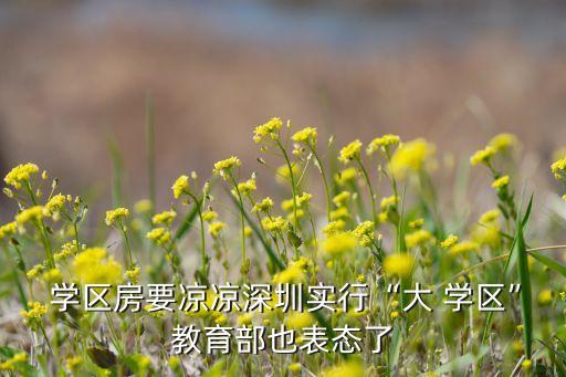  学区房要凉凉深圳实行“大 学区”教育部也表态了