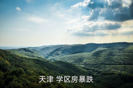 天津 学区房暴跌