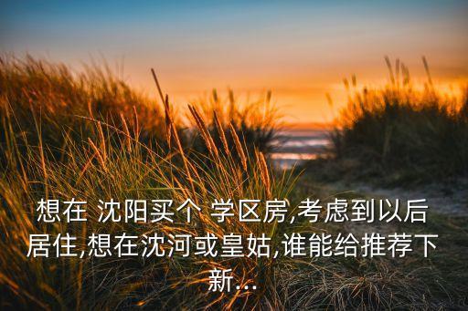 沈阳和平学区房楼盘有哪些