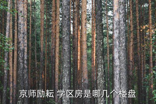 京师励耘 学区房是哪几个楼盘