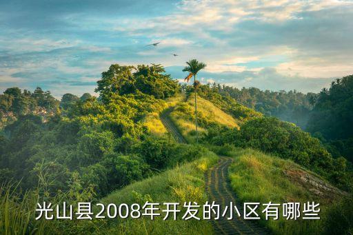  光山县2008年开发的小区有哪些