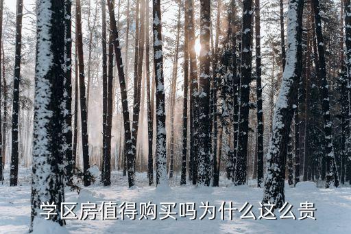  学区房值得购买吗为什么这么贵