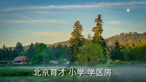 北京育才 小学 学区房