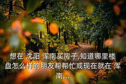 沈阳浑南有哪些好的学区房