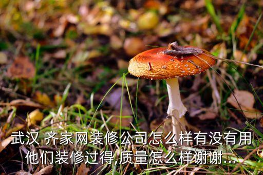 武汉 齐家网装修公司怎么样有没有用他们装修过得,质量怎么样谢谢...