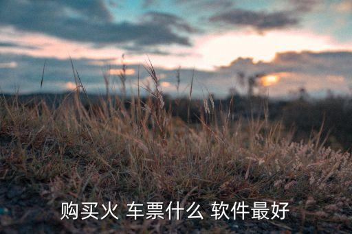 买车票的软件哪个好,动车票在哪个软件买