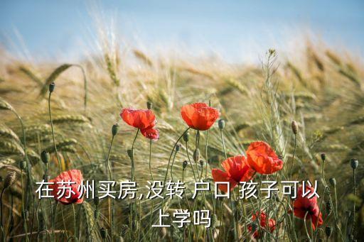 在苏州买房,没转 户口 孩子可以 上学吗