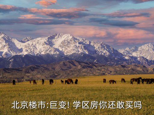 北京楼市:巨变! 学区房你还敢买吗
