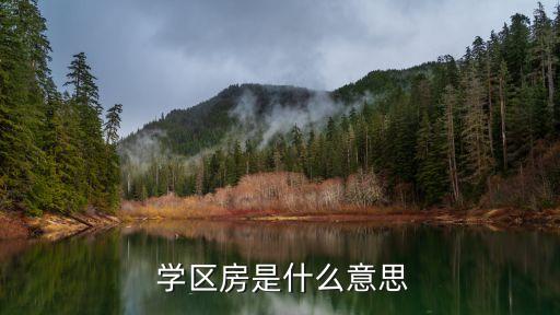  学区房是什么意思