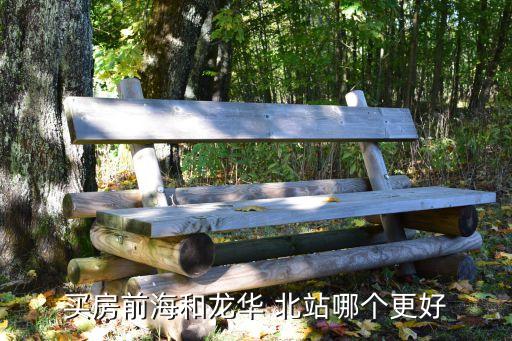 买房前海和龙华 北站哪个更好