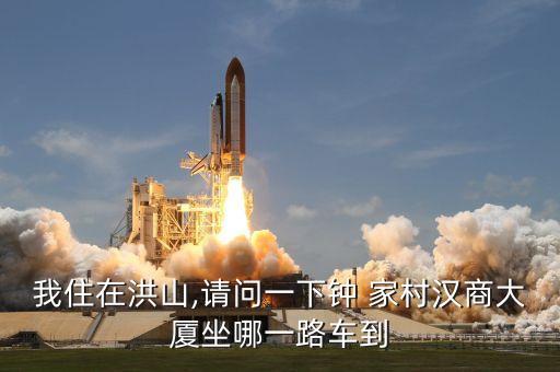 我住在洪山,请问一下钟 家村汉商大厦坐哪一路车到
