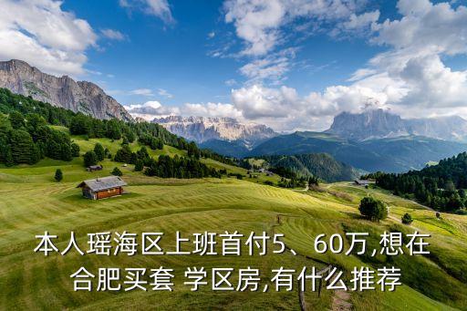 本人瑶海区上班首付5、60万,想在 合肥买套 学区房,有什么推荐