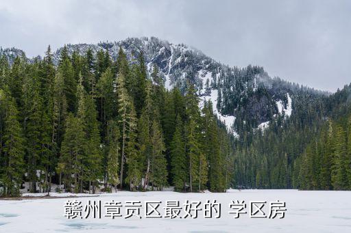 赣州章贡区最好的 学区房