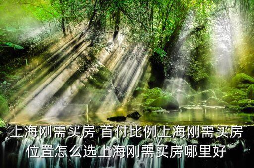 上海刚需买房 首付比例上海刚需买房位置怎么选上海刚需买房哪里好