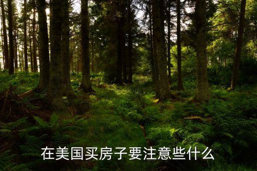 在美国买房子要注意些什么