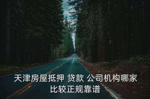 天津贷款公司排行榜,二手车贷款公司排行榜