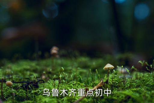 乌鲁木齐重点初中