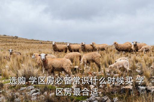 选购 学区房必备常识什么时候买 学区房最合适