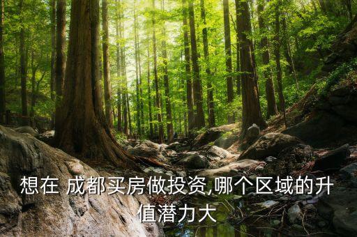 成都学区房一环哪个好