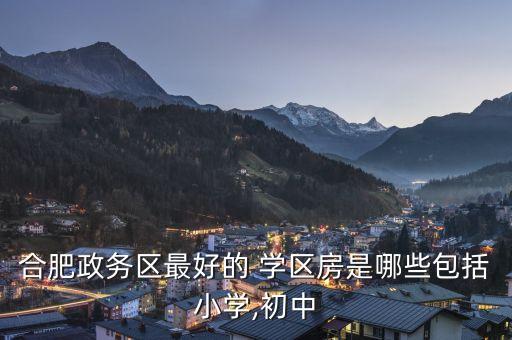 合肥政务区最好的 学区房是哪些包括小学,初中