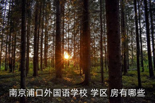 南京浦口外国语学校 学区 房有哪些