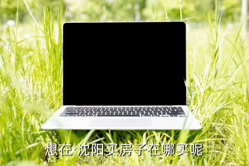 想在 沈阳买房子在哪买呢
