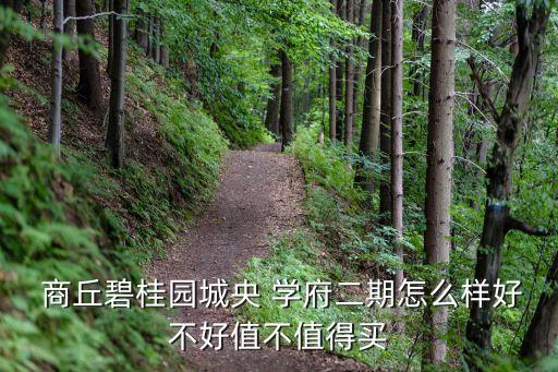  商丘碧桂园城央 学府二期怎么样好不好值不值得买